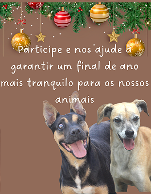 Nossos Velhinhos e Especiais