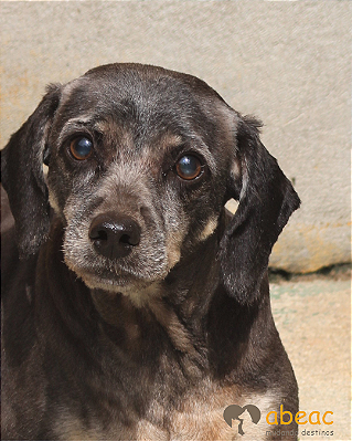 Karen-300 Anjos - 11 anos