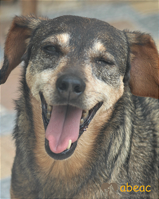 Buba-Sr. Claudio - 11 anos