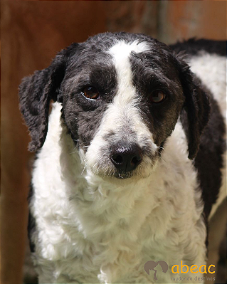 Oliver-Ipojuca - 11 anos