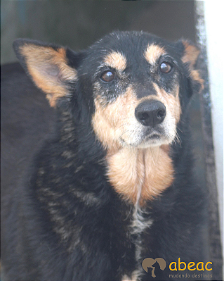 Athena-Carapicuiba - 14 anos