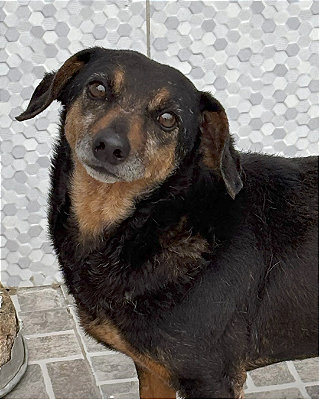 Bebê-Mairiporã - 08 anos