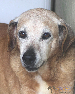 Sol-Bianca - 14 anos