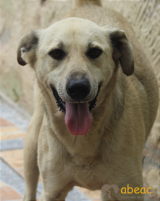 Arthur-Sr. Claudio - 8 anos