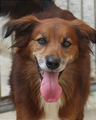 Charlotte-Wanderléia - 08 anos