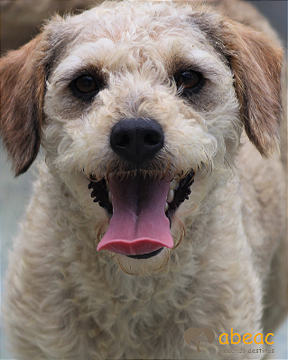 Andora-Sr. Claudio - 09 anos