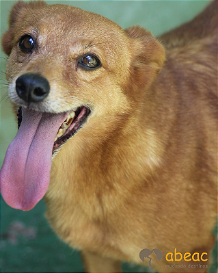 Nina-Caucaia - 13 anos