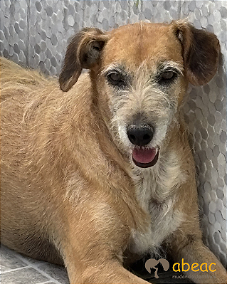 Anita-Sr. Claudio - 10 anos