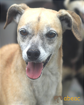 Sasha-Sr. Claudio - 10 anos