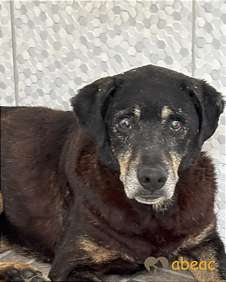 Gina-Mairiporã - 12 anos