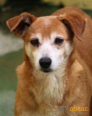 Raika-Embu - 12 anos