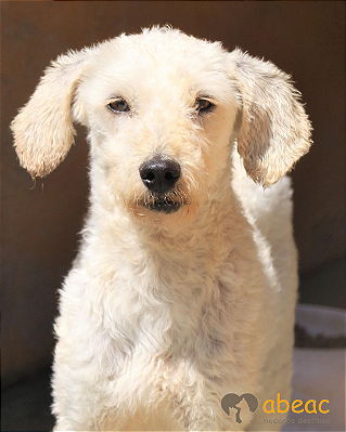 Kaique-Ipojuca - 11 anos