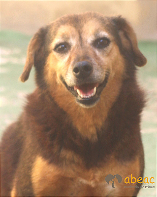 Minie-Carapicuiba - 11 anos