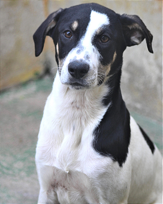 Belinha-Babi - 05 anos