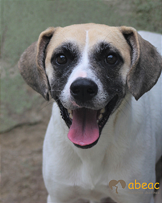 Nanny-300 Anjos - 07 anos