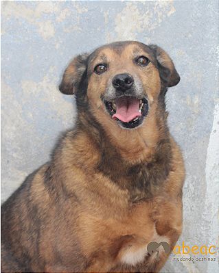 Ingrid-300 Anjos - 10 anos