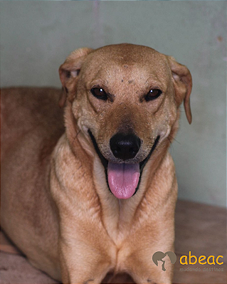 Diana-Maria -12 anos