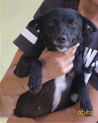 Laura-Cristal - 05 anos