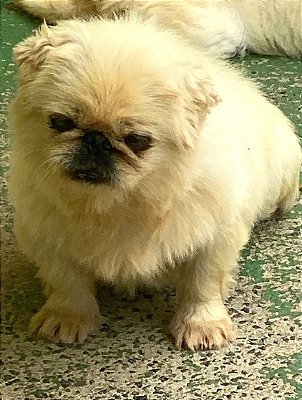 Alex-mairiporã - 10 anos