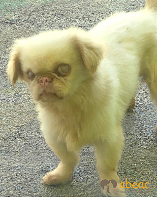 Argos-Mairiporã - 08 anos