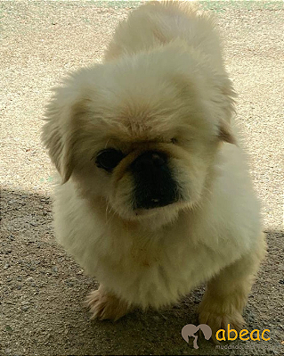 Jully-Mairiporã - 12 anos