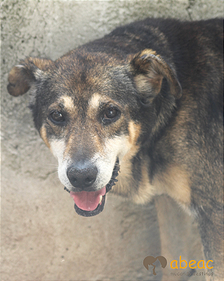 Leleco-Aurora - 12 anos