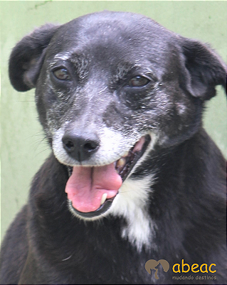 Filó-Dna Beth - 12 anos