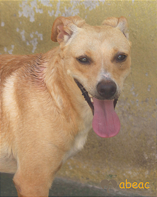 Maya-Camila - 4 anos