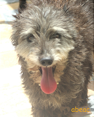 Milly-Tutty - 12 anos