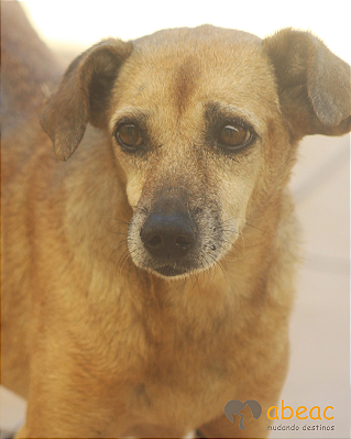 Penélope-Eve - 11 anos