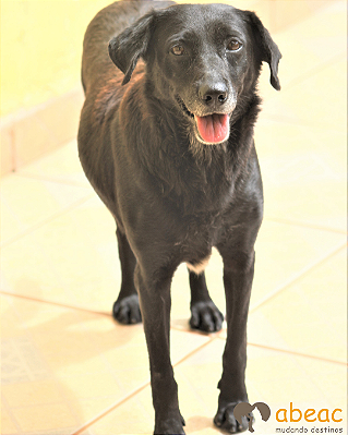 Alegria-Wanderléia - 10 anos