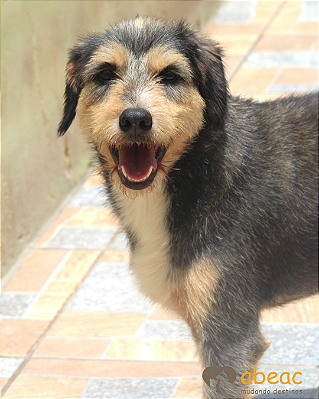 Athos-Wanderléia - 08 anos