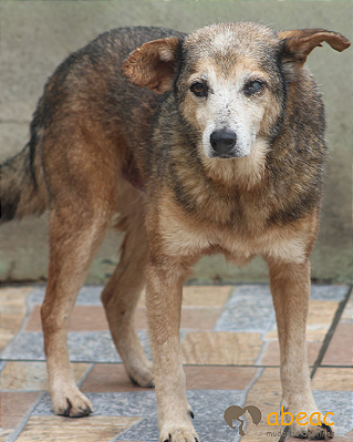 Bartolomeu - 14 anos