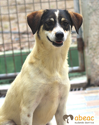 Belinha-Sabrina - 02 anos