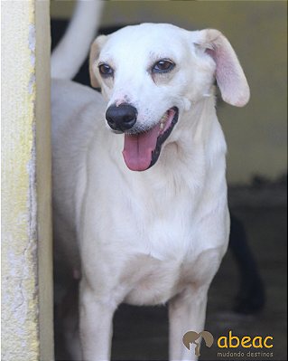 Belinha-Caucaia - 05 anos