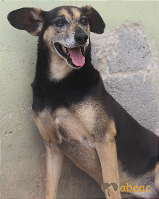 Bento- Sr. Claudio - 10 anos