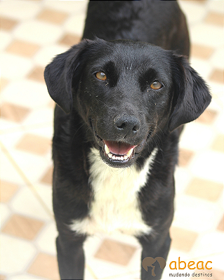 Betina-Embu - 07 anos