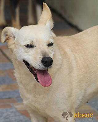 Catarina- Sr. Claudio - 09 anos