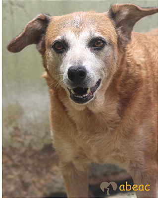 Catucha-Caucaia - 12 anos