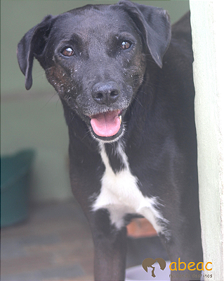 Ceci- Sr. Claudio -09 anos