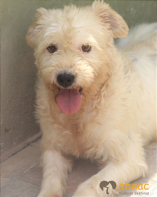 Cristal- Caucaia - 05 anos