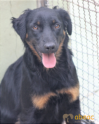 Debby-Caucaia - 08 anos