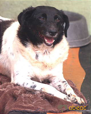 Docinho-Aurora - 10 anos