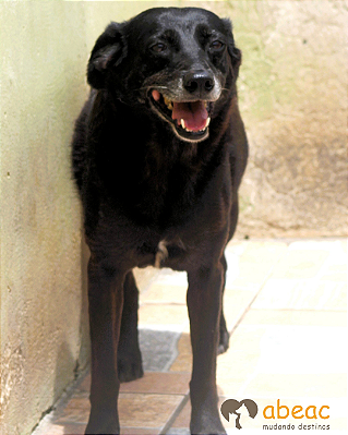 Edith-Wanderléia - 10 anos