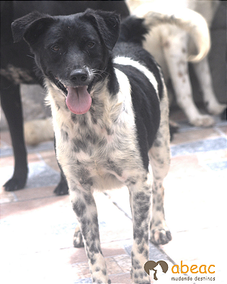 Eros-Sabrina - 02 anos