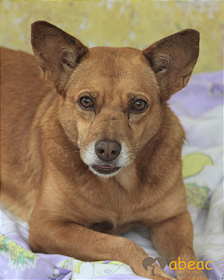 Esmeralda-César - 09 anos