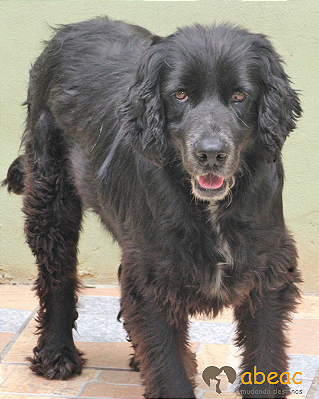 Freddy-Milena - 14 anos