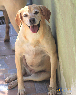 Hanna-Suzy - 09 anos