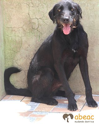 Kate-Caucaia- 05 anos