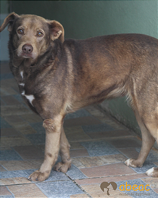 Lana-Caucaia- 10 anos